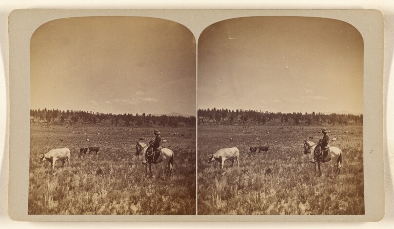 [Elwell's Ranch Park Co. Colorado, July 1876]