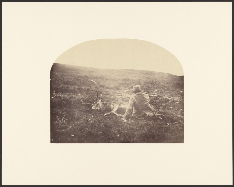 [Man with dead stag]
