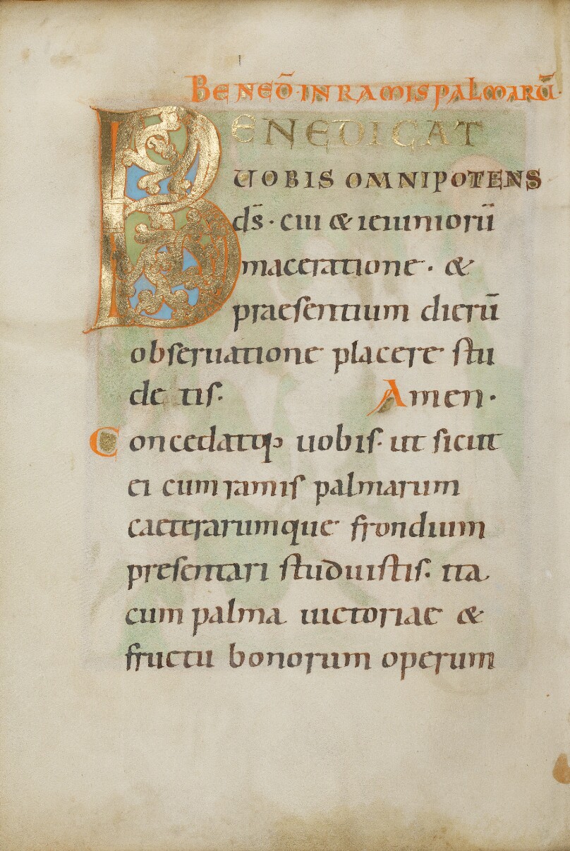 Decorated Incipit Page