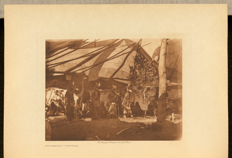 Sun Dancers - Cheyenne