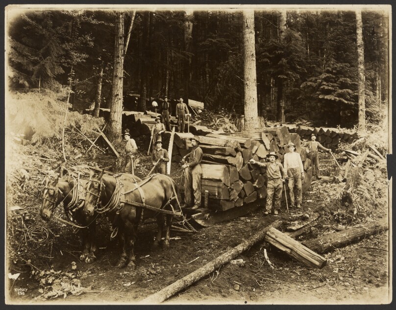[Logging/ Timber Scene]