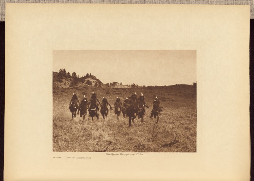 Animal Dance - Cheyenne