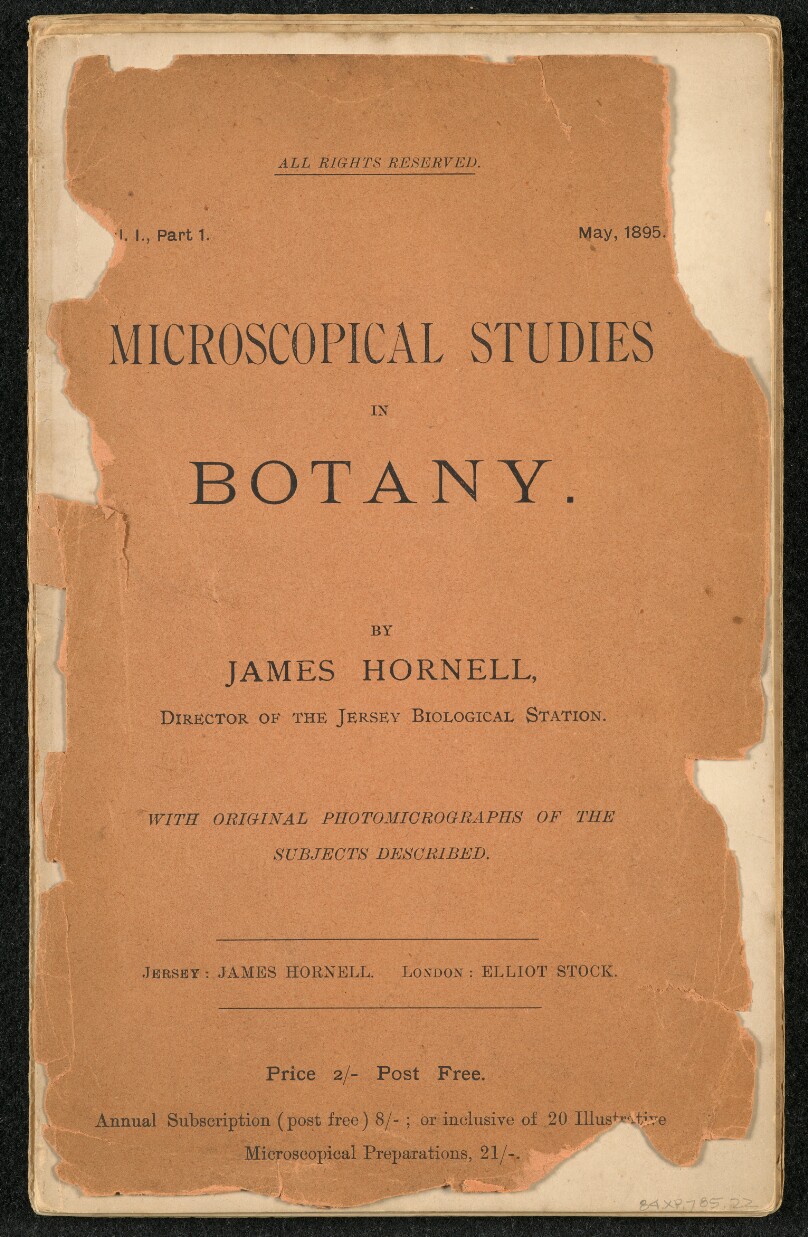 Microscopical Studies in Botany. With Original Photomicrographs of the Subjects Described.