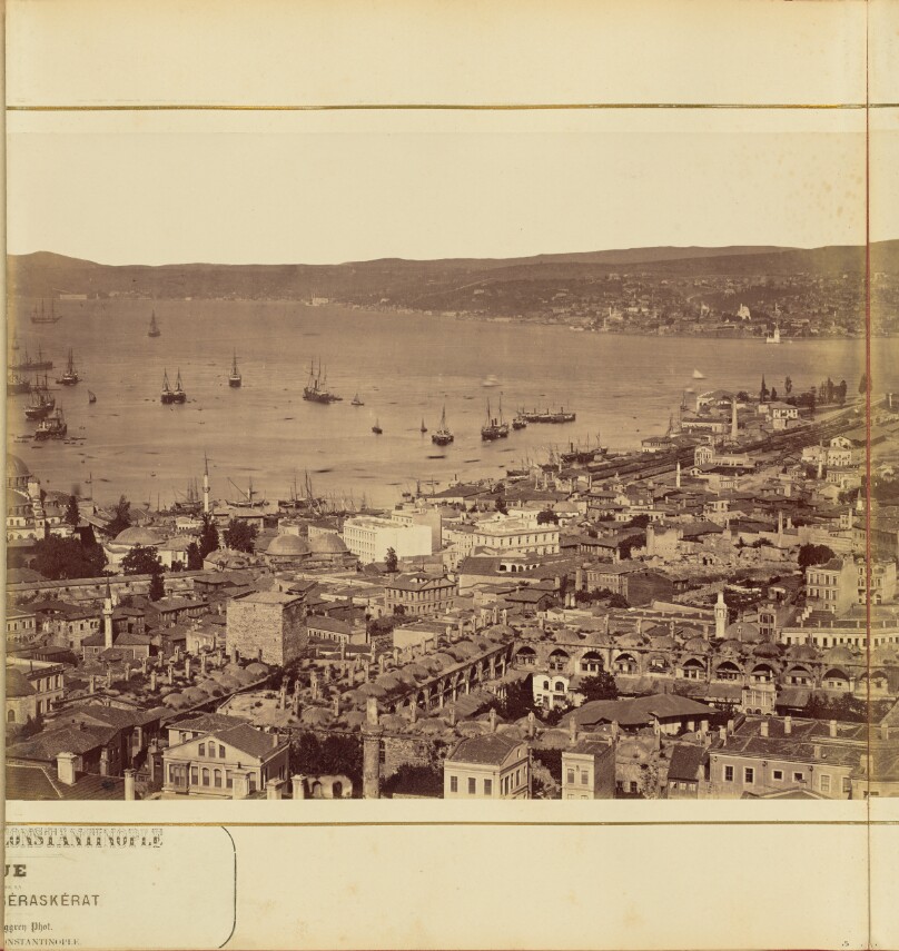 [Plate 5]