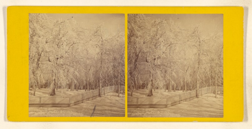 Ice Grove. [Niagara]