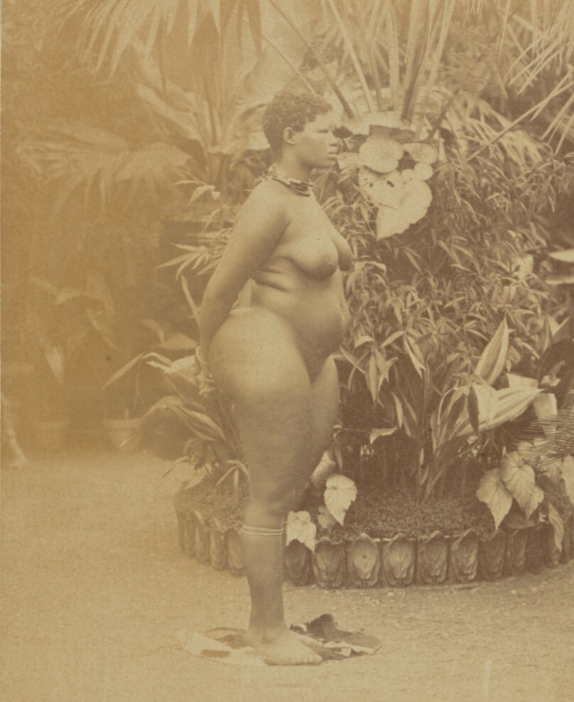 [South African Woman, Nude]