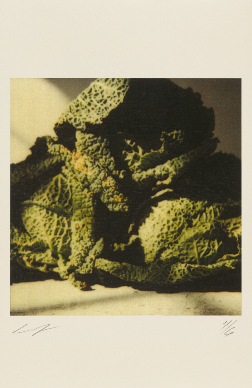 Cabbages