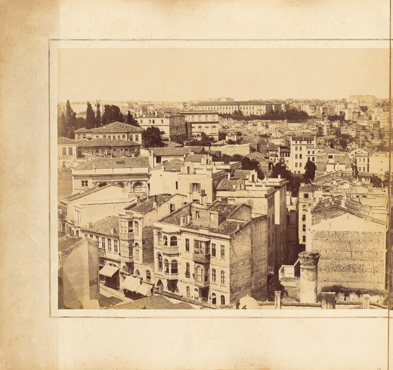 [Plate 1]