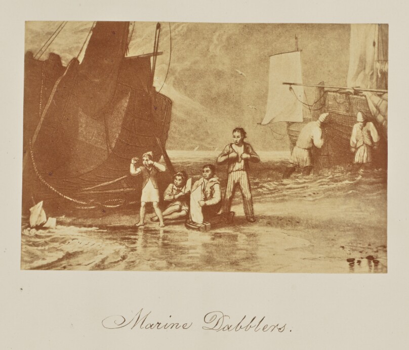 Marine Dabblers.