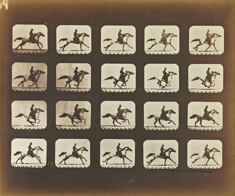 Running (Galloping)