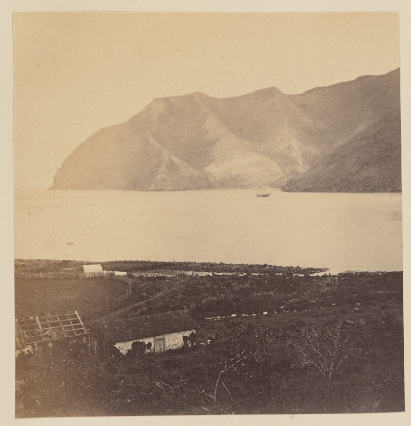 Scenes in the Island of Juan Fernandez