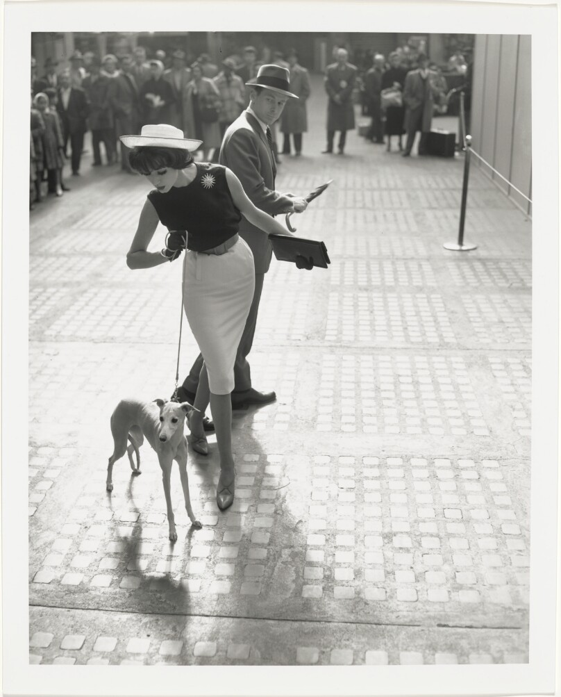 Simone D’Aillencourt with Whippet