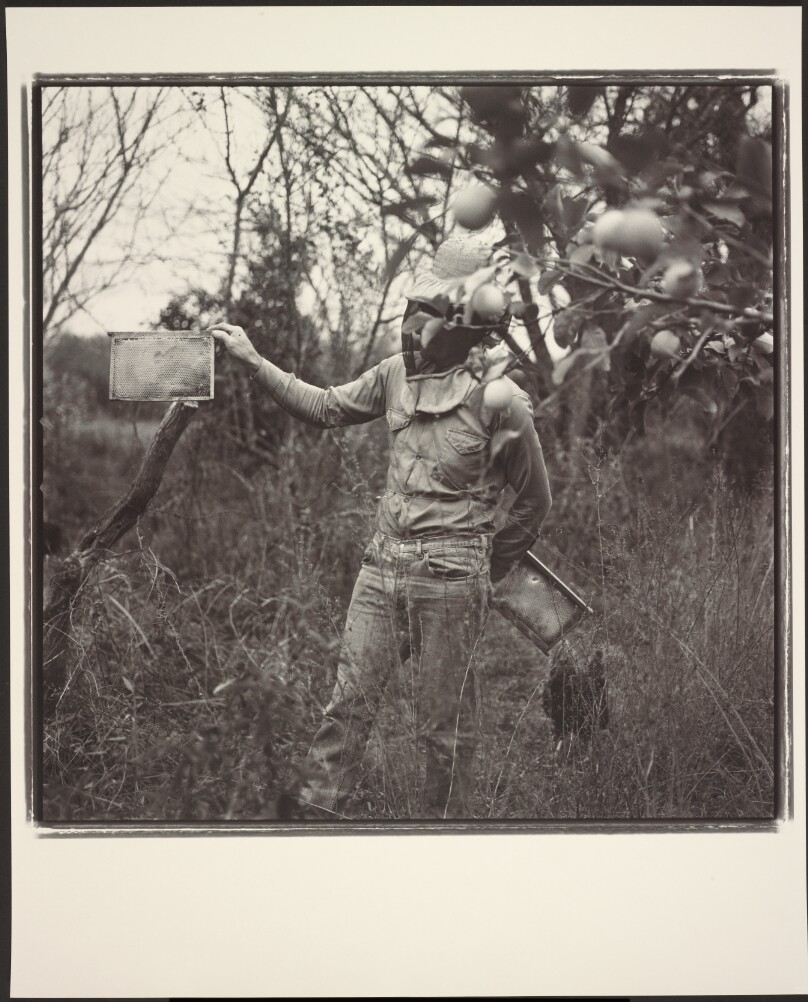 Beekeeper