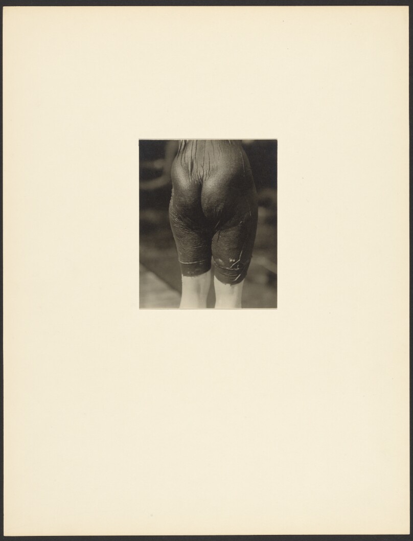 Ellen Koeniger, Lake George