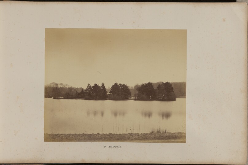 Bearwood