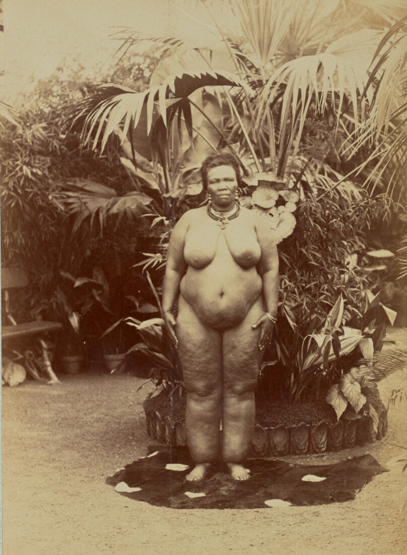 [South African Woman, Nude]