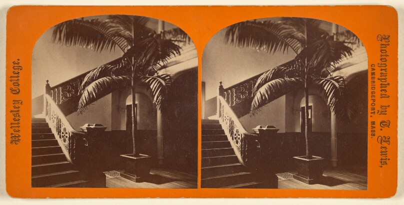 [Interior of staircase with palm tree at base, Wellesley College]