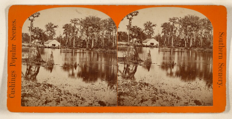 [River scene, Florida]