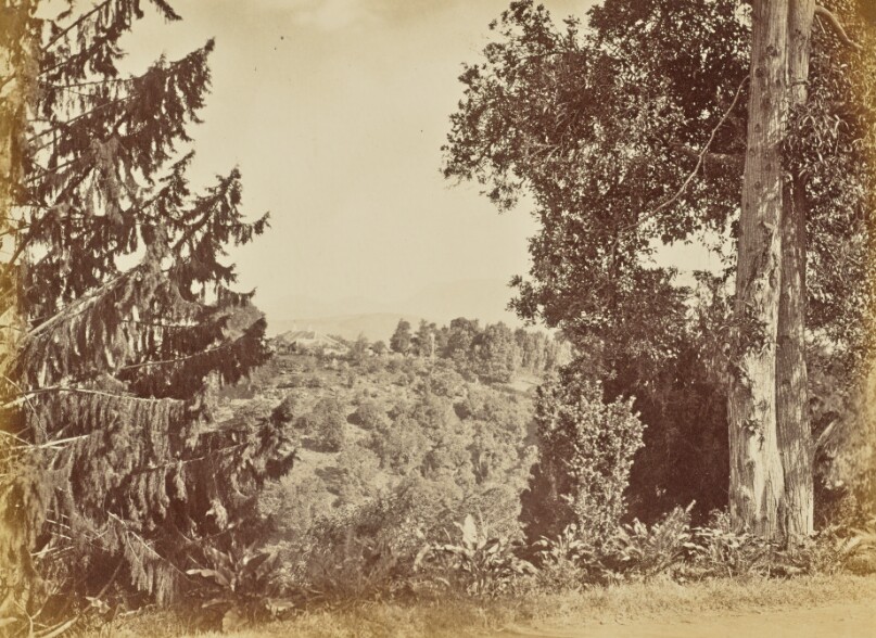 [View of a Hill]