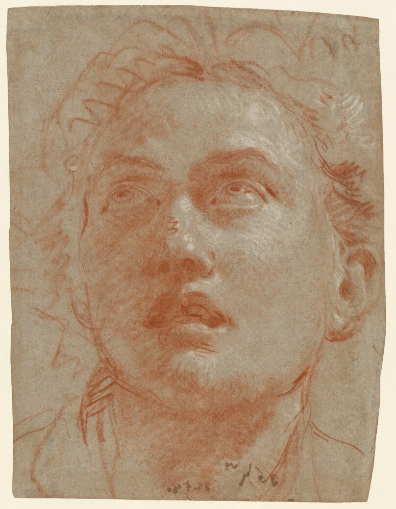 Head of a Man Looking Up