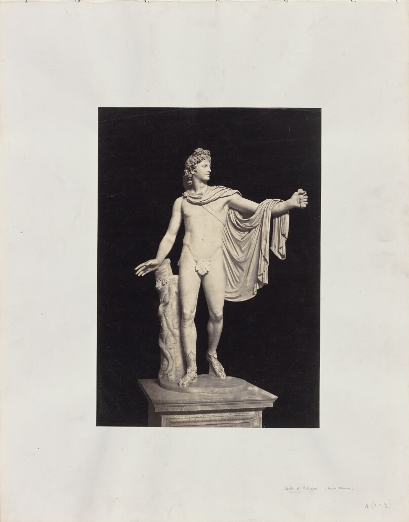 [The Belvedere Apollo]