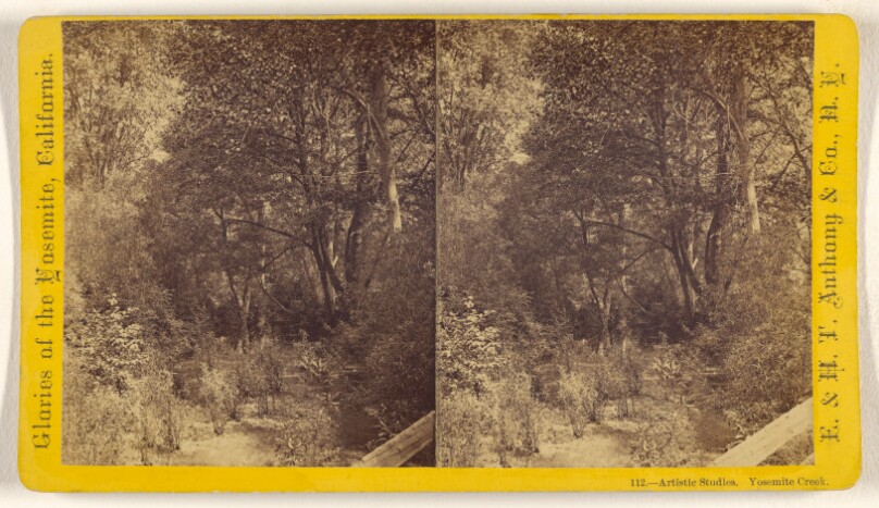 Artistic Studies. Yosemite Creek.