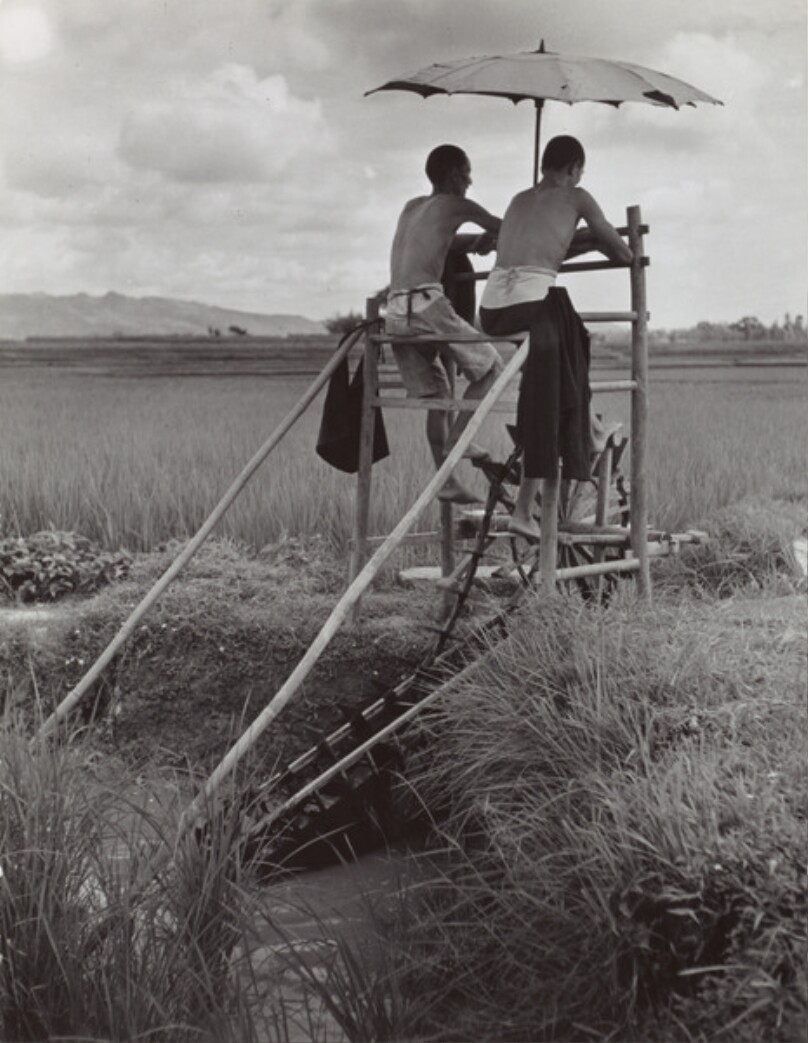 Farmers Raise Paddy Water to Higher Field near Lung Chuan-I, China (2005.49.25)