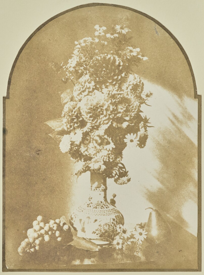 [Flowers in a Vase]