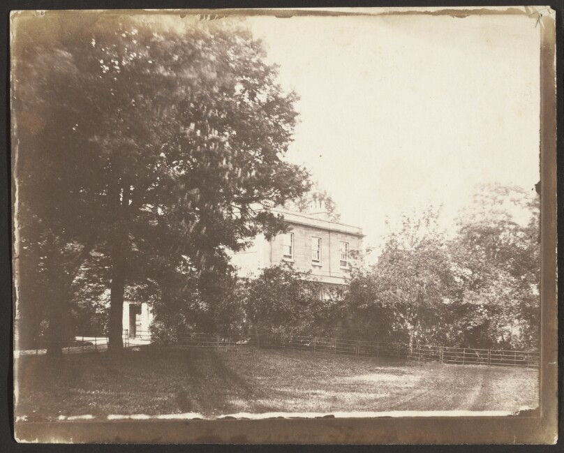 [House, lawn and large tree]