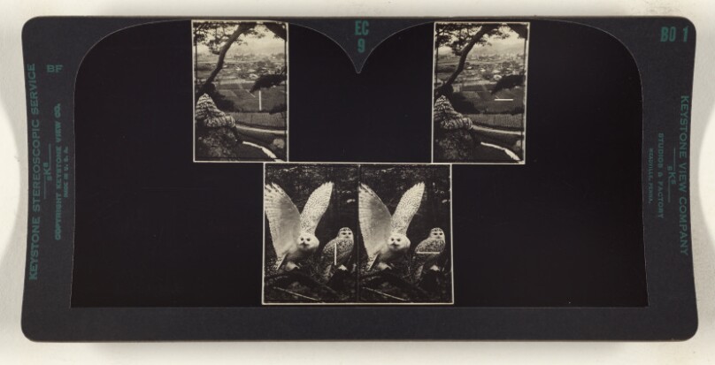 Fusing the upper pictures requires 8 1/2 prism diopters of Convergence. Changing Fixation from upper to lower pictures...