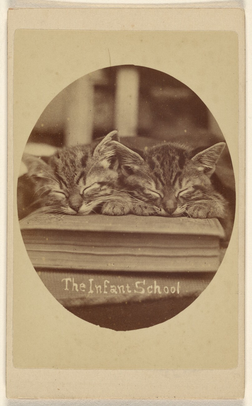 The Infant School