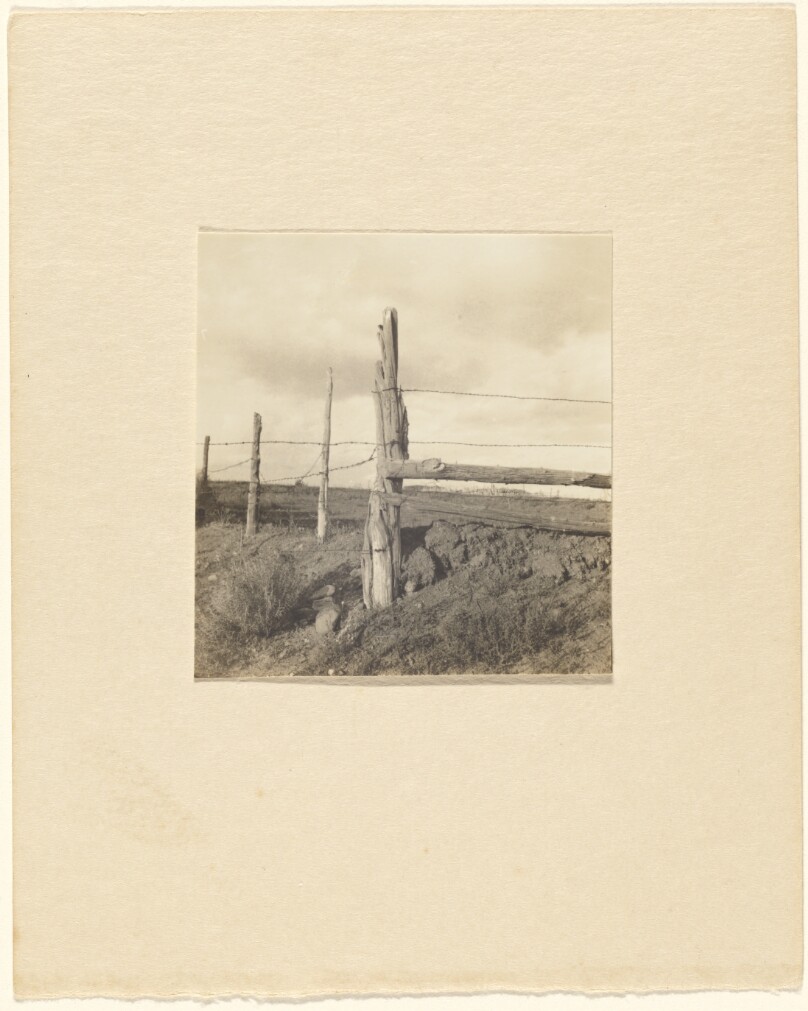 Juniper Post Fence, New Mexico