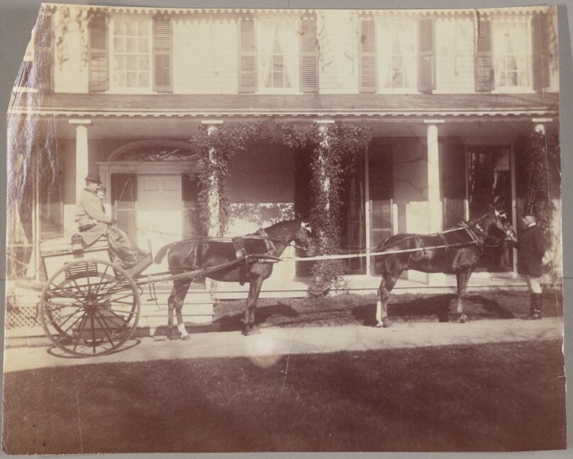 [Horse-drawn carriage]