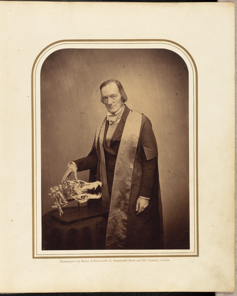 Professor Owen, F.R.S.