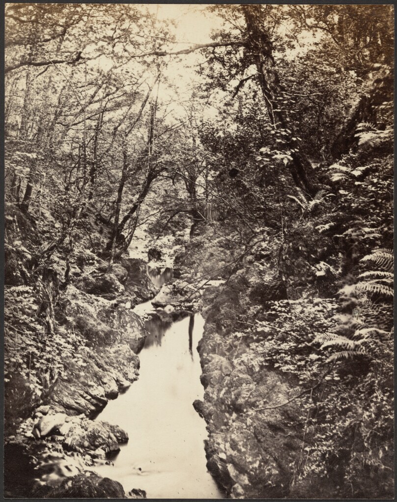 [Wooded Landscape with Stream]