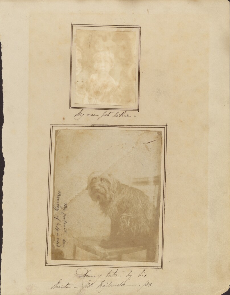[Portrait of Rejlander's Dog]