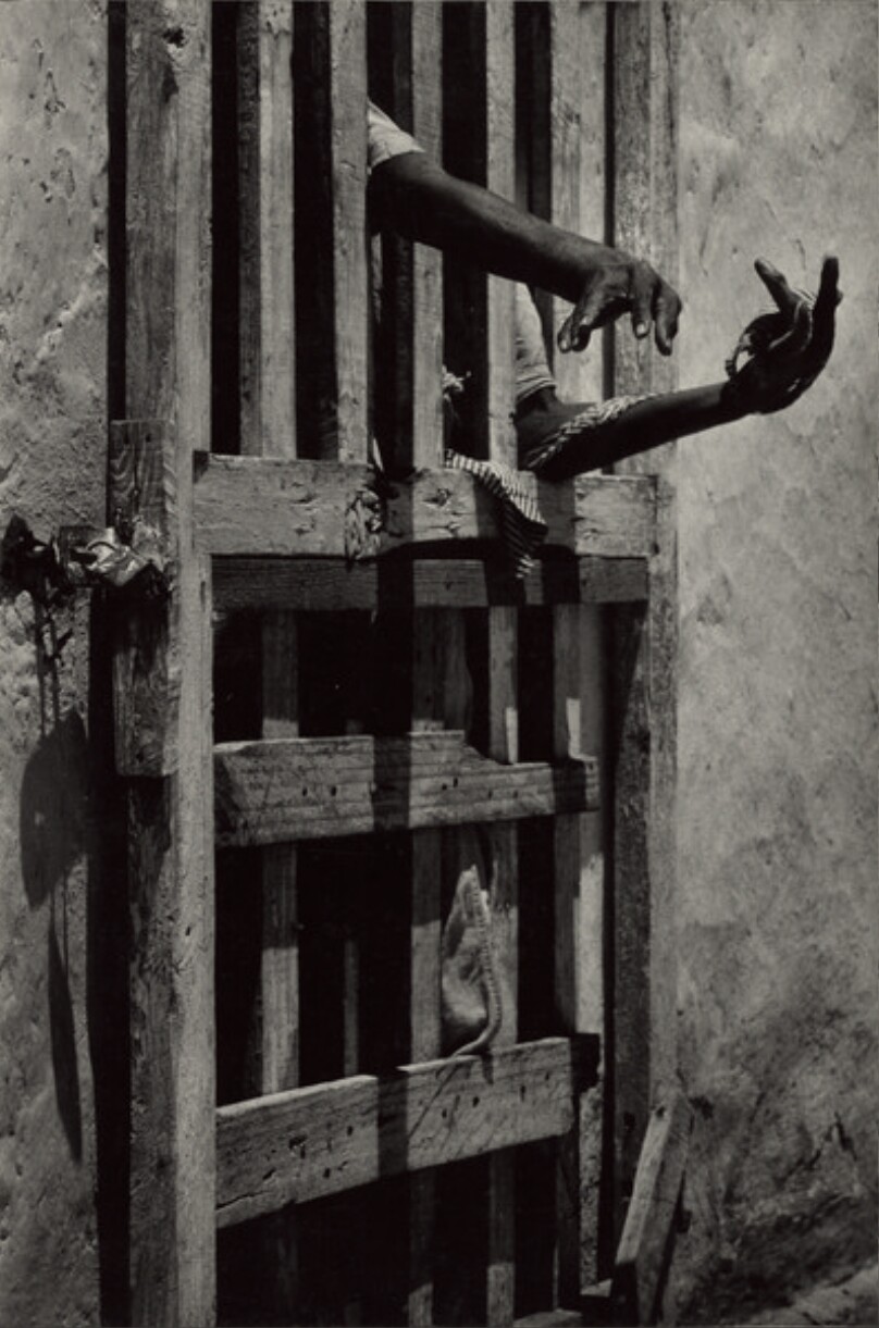 [The Hands of a Mental Patient Through a Stockade Door, Haiti]