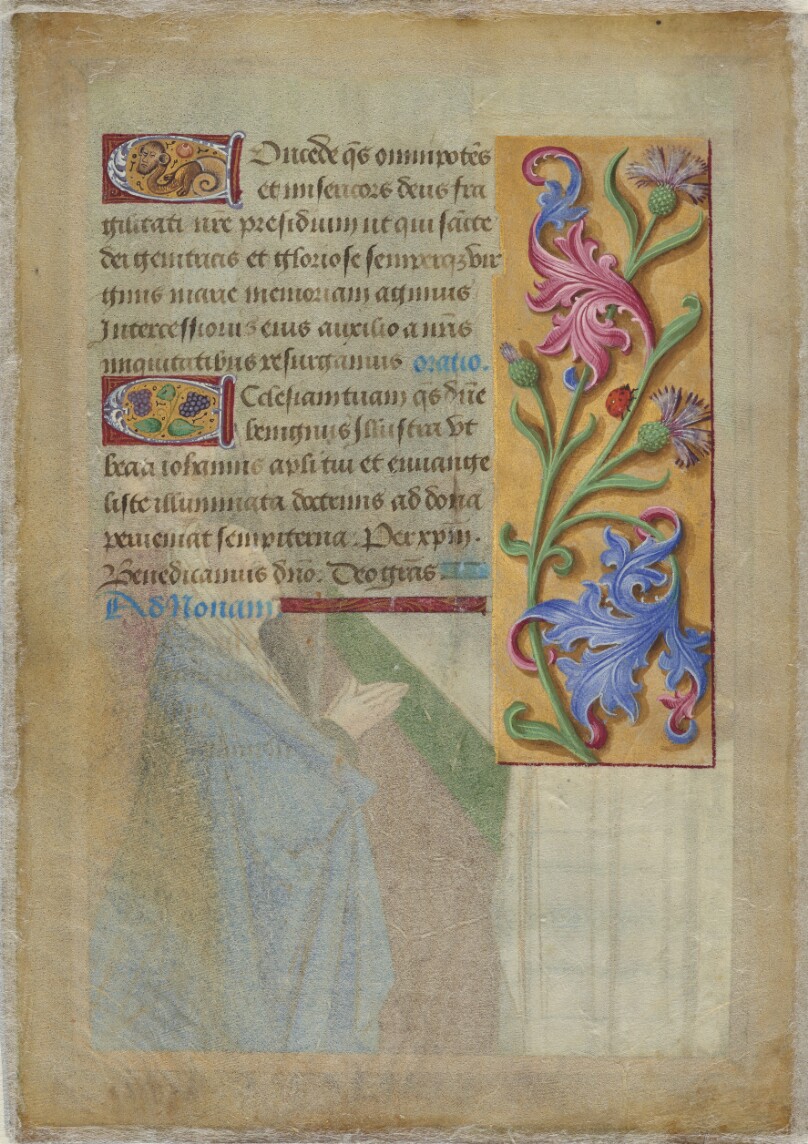 Decorated Text Page