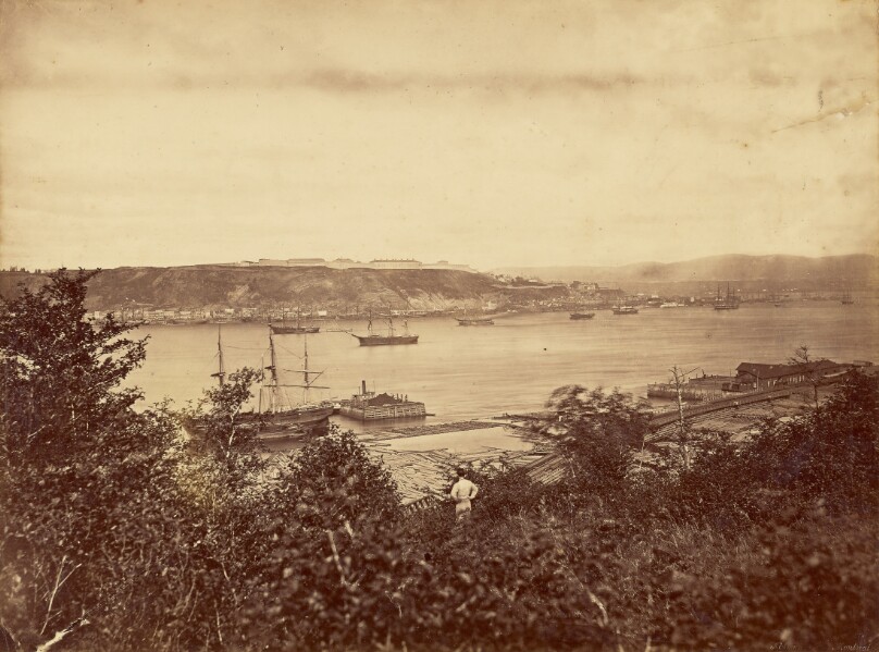 [Harbor view]