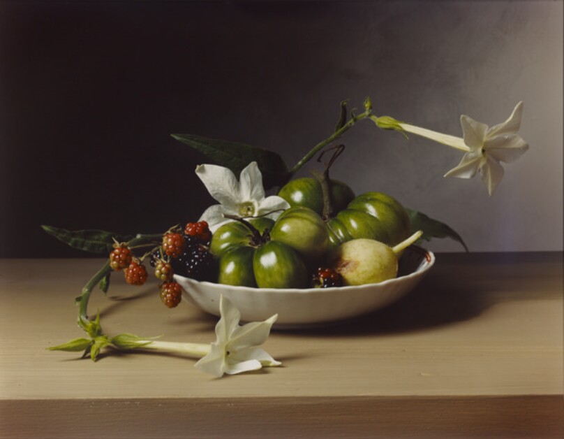 Early American, Still Life with Flowering Tobacco