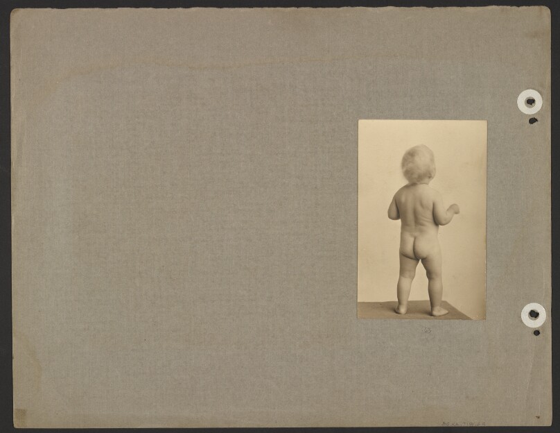 [Chandler Weston nude, eighteen months old, twenty-four lbs., back view]