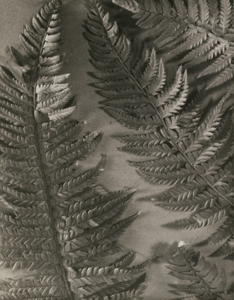 [Untitled]