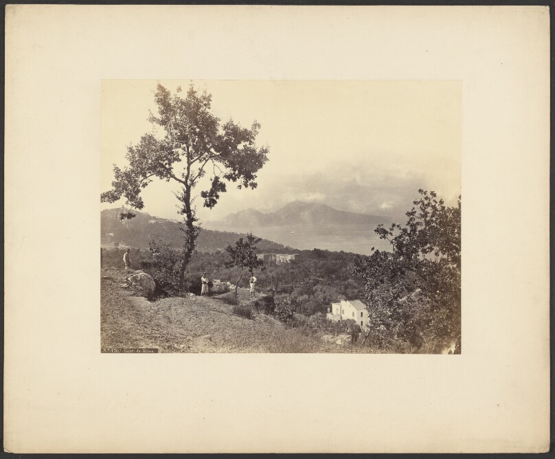 Capri da Massa