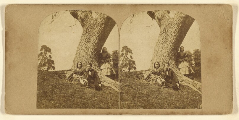 [Couple seated under a tree, another woman hiding behind them]