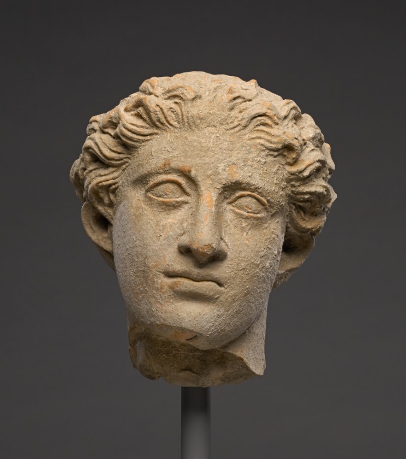 Head of a Youth