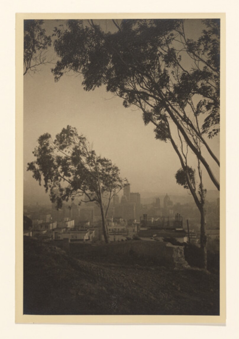 [View of city from hill]