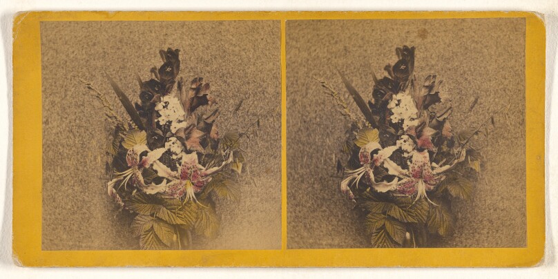 [Bouquet of flowers]