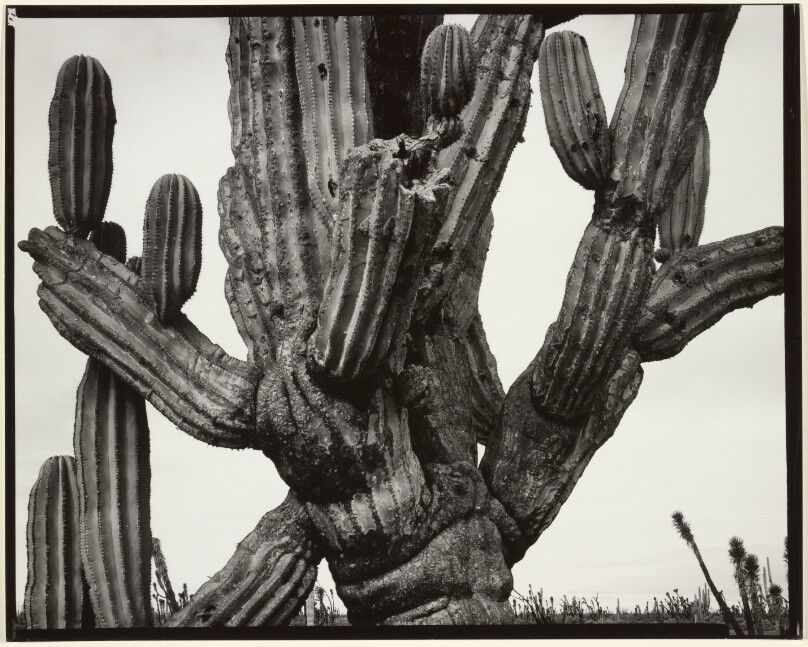 Baja California, Mexico