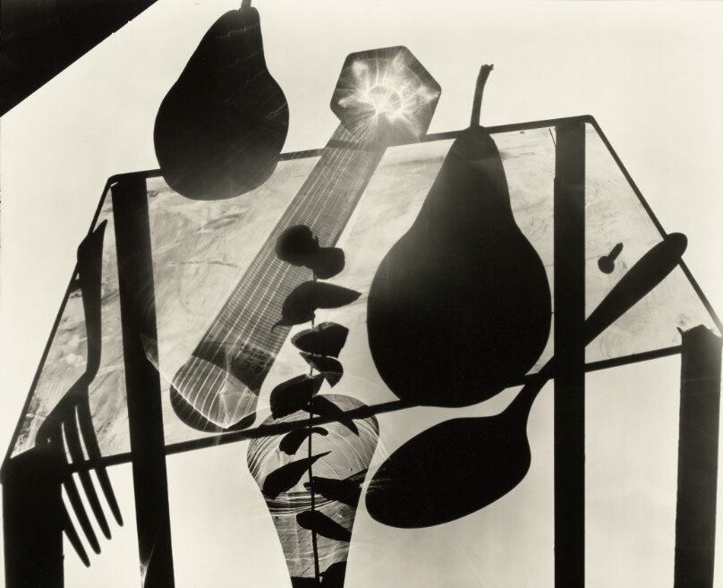 Still Life With Pears: Photogram on 20" x 24' Film