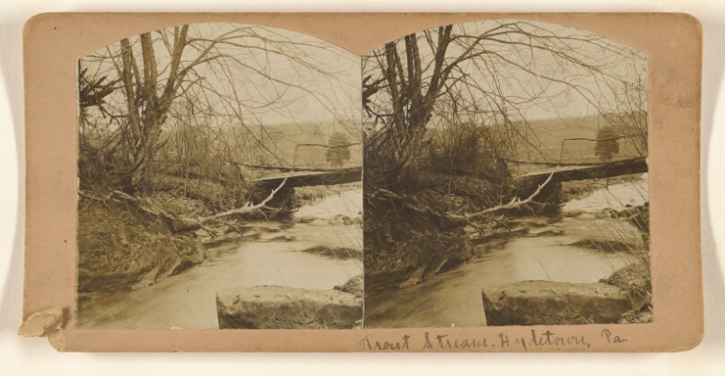 [Trout Stream, Hydetown, Pa.]